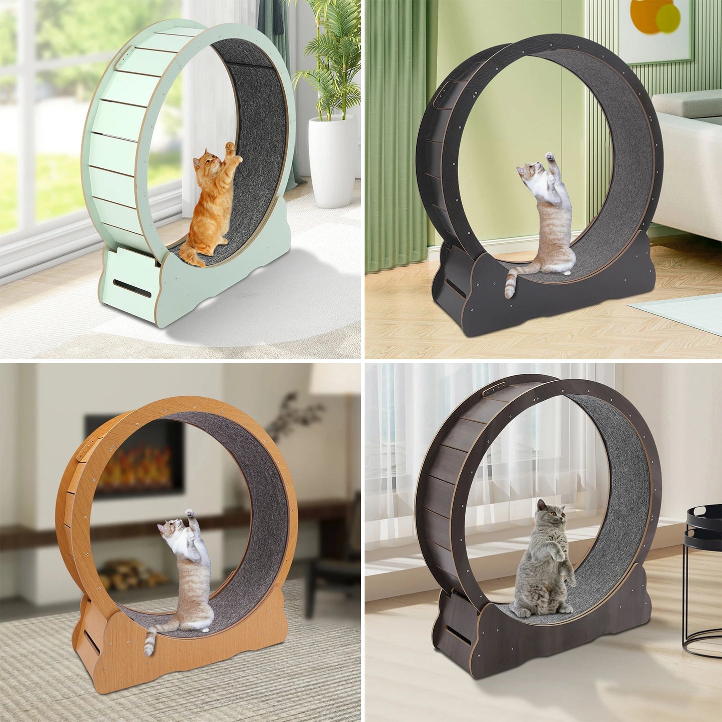 Cat Exercise Wheel Treadmill.