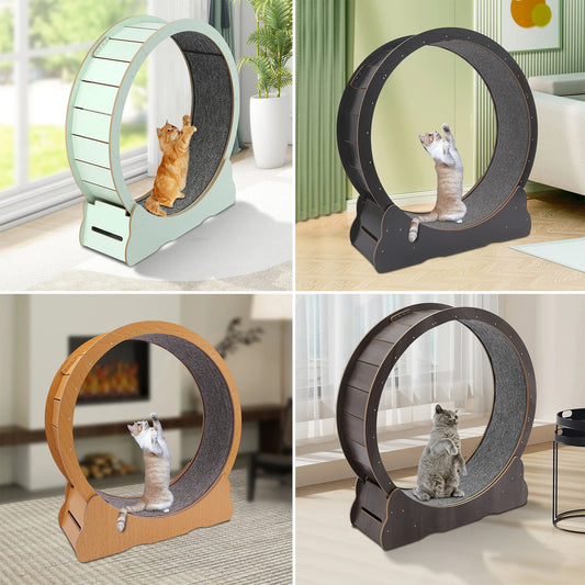 Cat Exercise Wheel Treadmill.