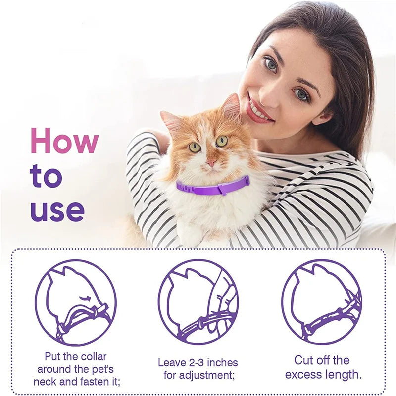 Pet Calming Collar.