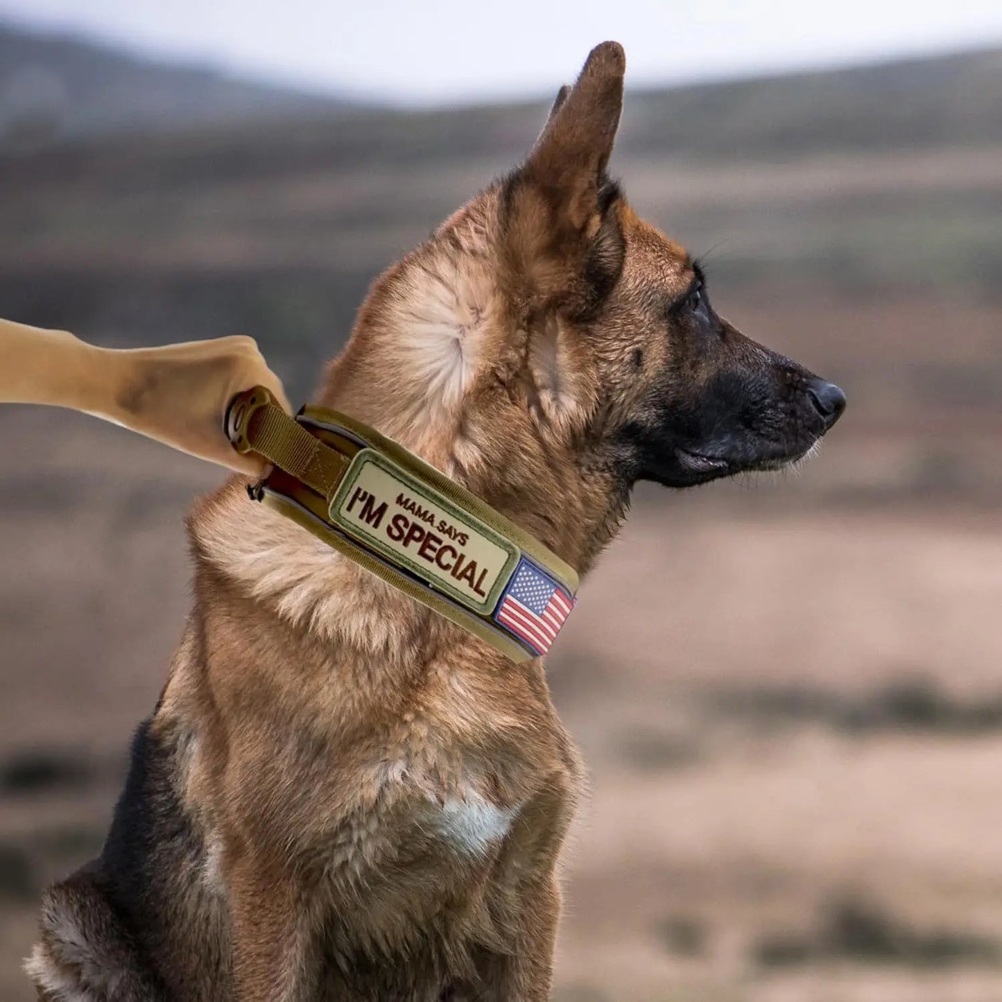 Tactical Dog Collar.
