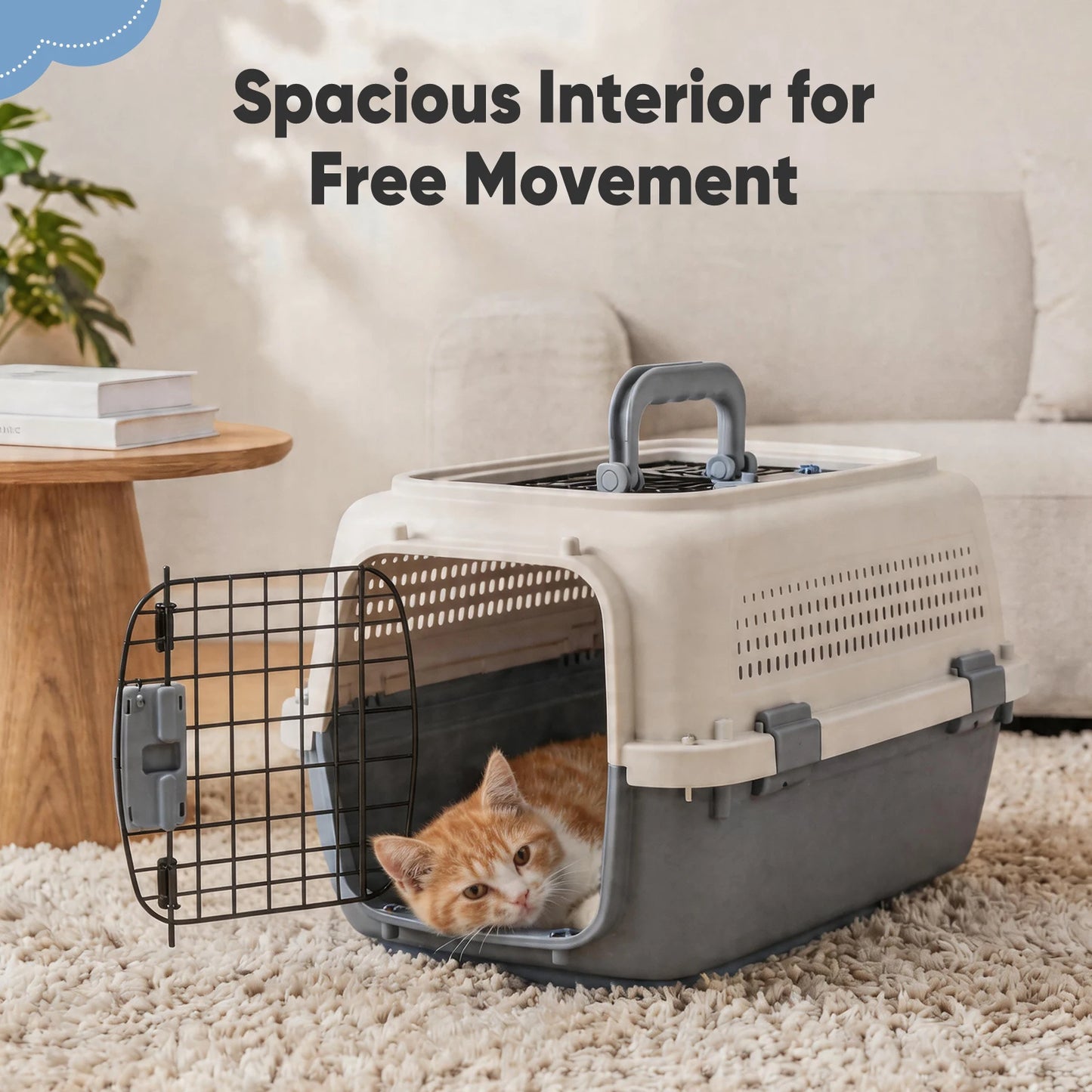 Pet Carrier for Small Dogs & Cats.