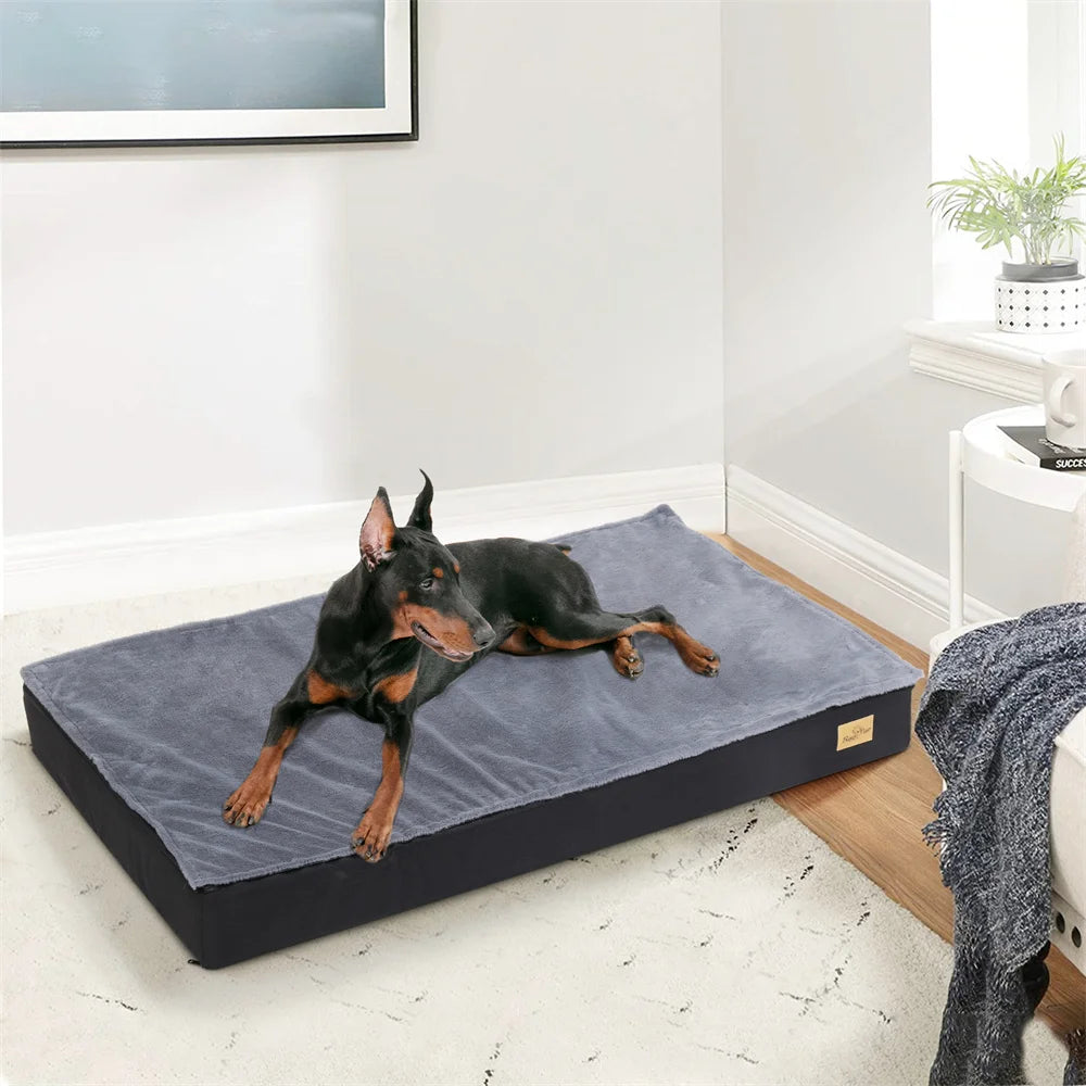 Large Orthopedic Dog Bed.