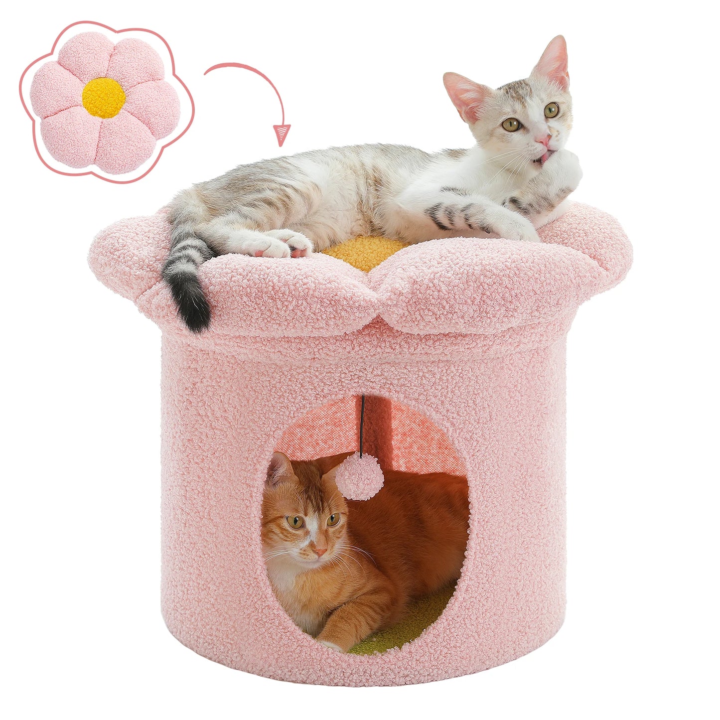 Cat Beds for Indoor Cats.