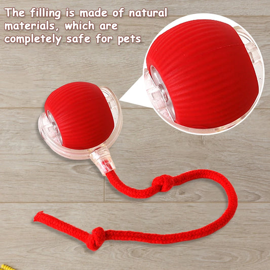 Interactive Cat Ball Toys.