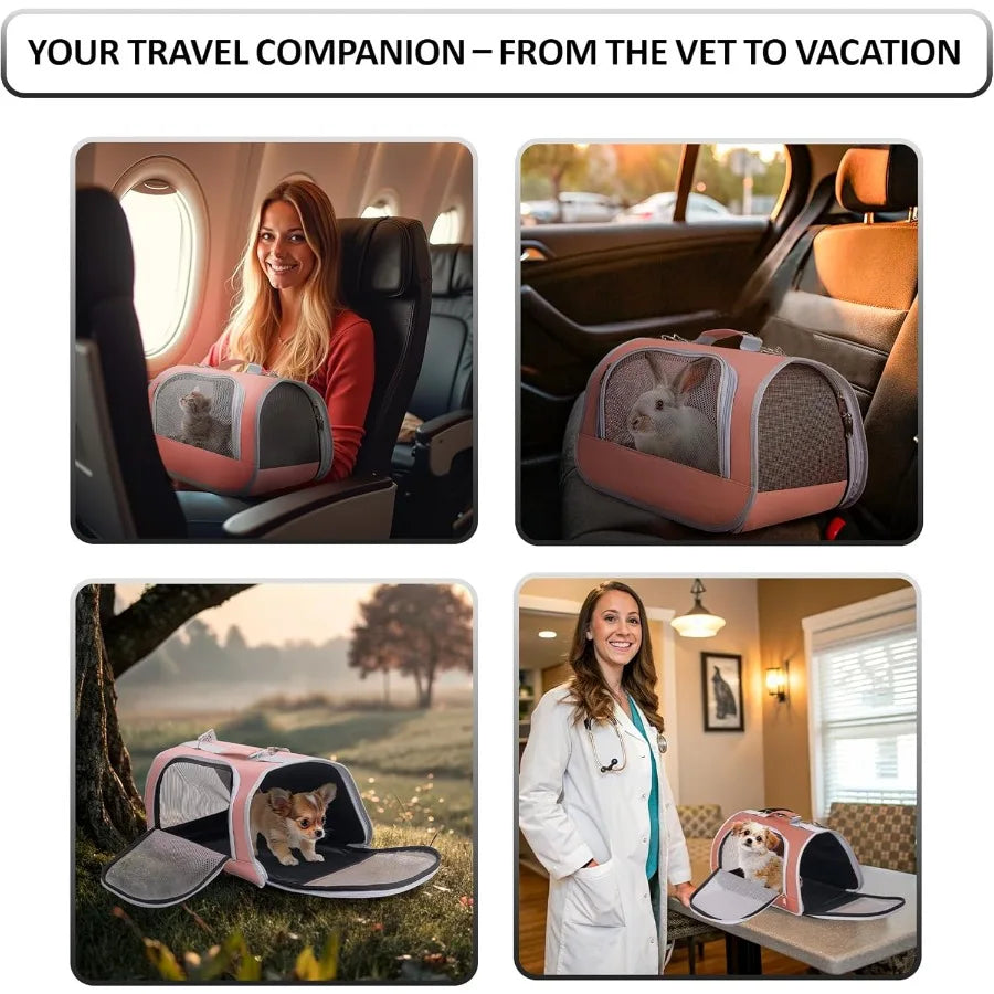 Folding Small Pet Carrier.