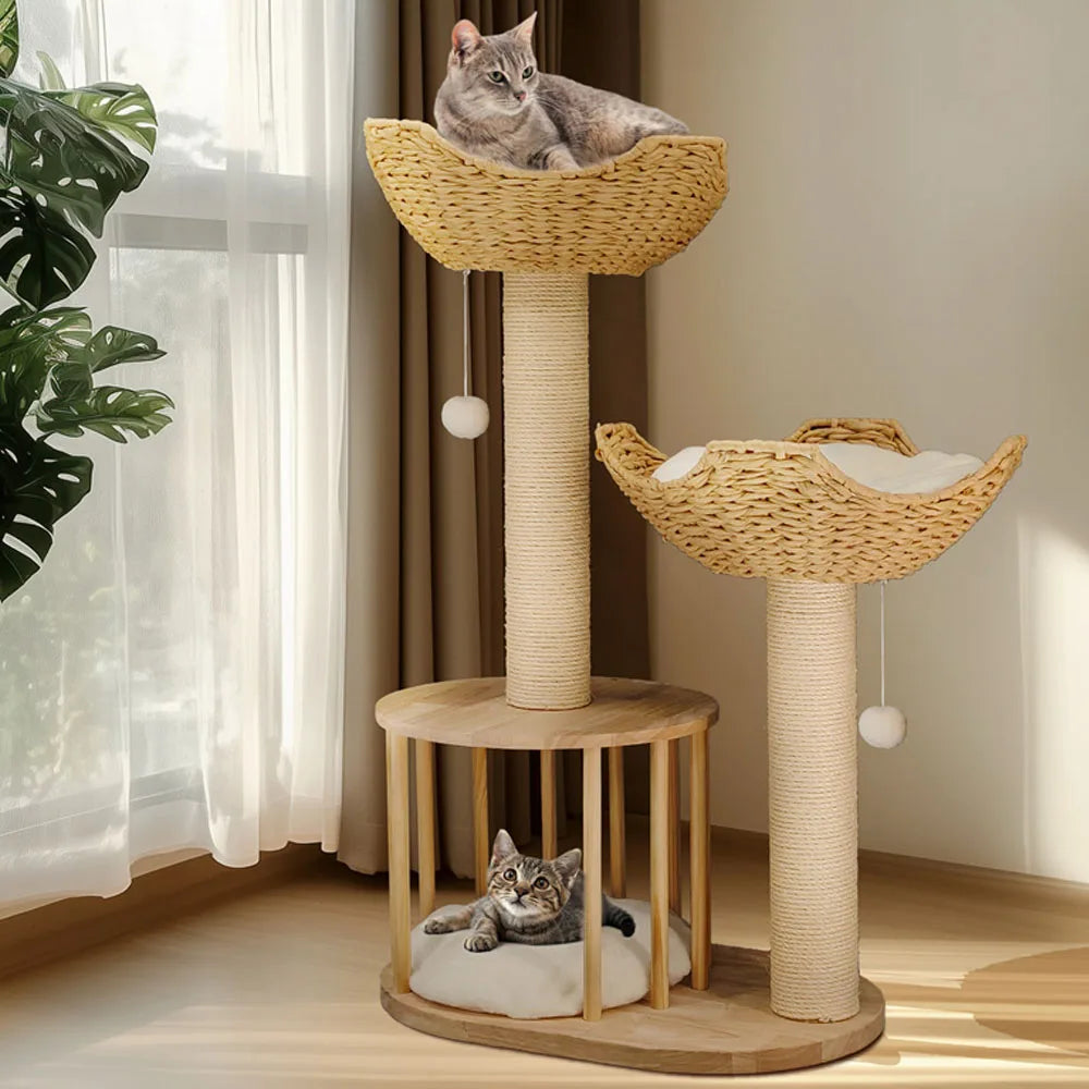 Cat Tree.
