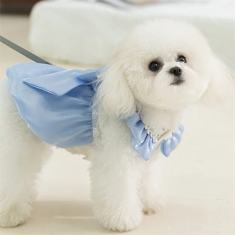 Small Pet Tutu Dress.