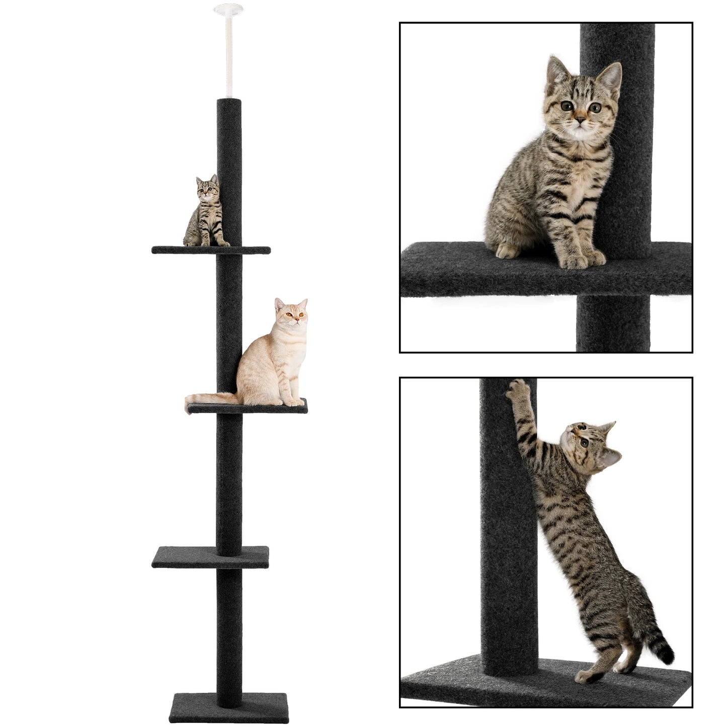 Height Cat Tree.