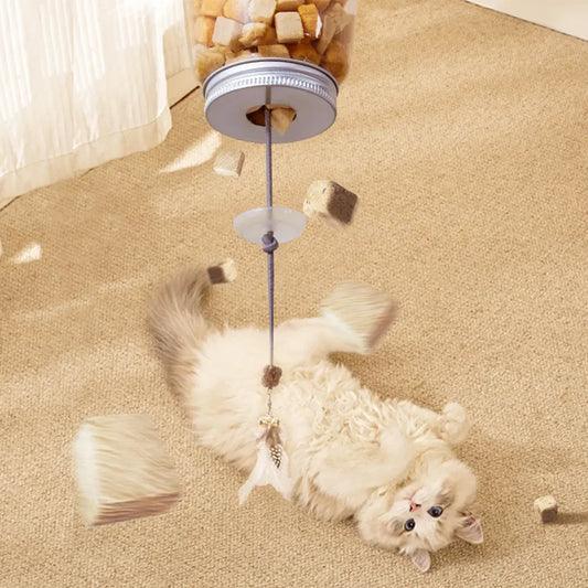 Cat Toy Interactive.