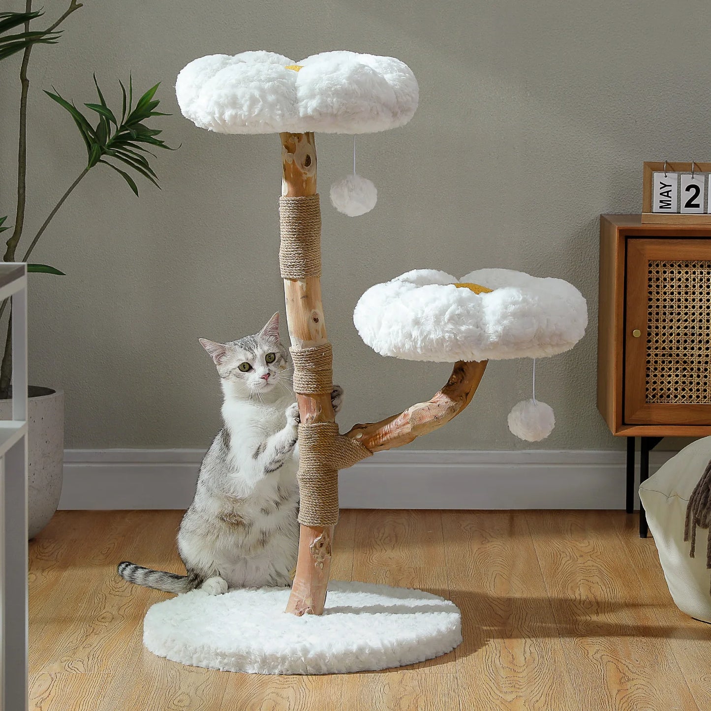 Solid Wood Cat Tree.