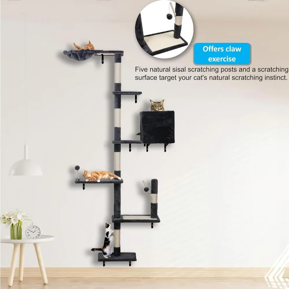 Cat Shelves for Wall.