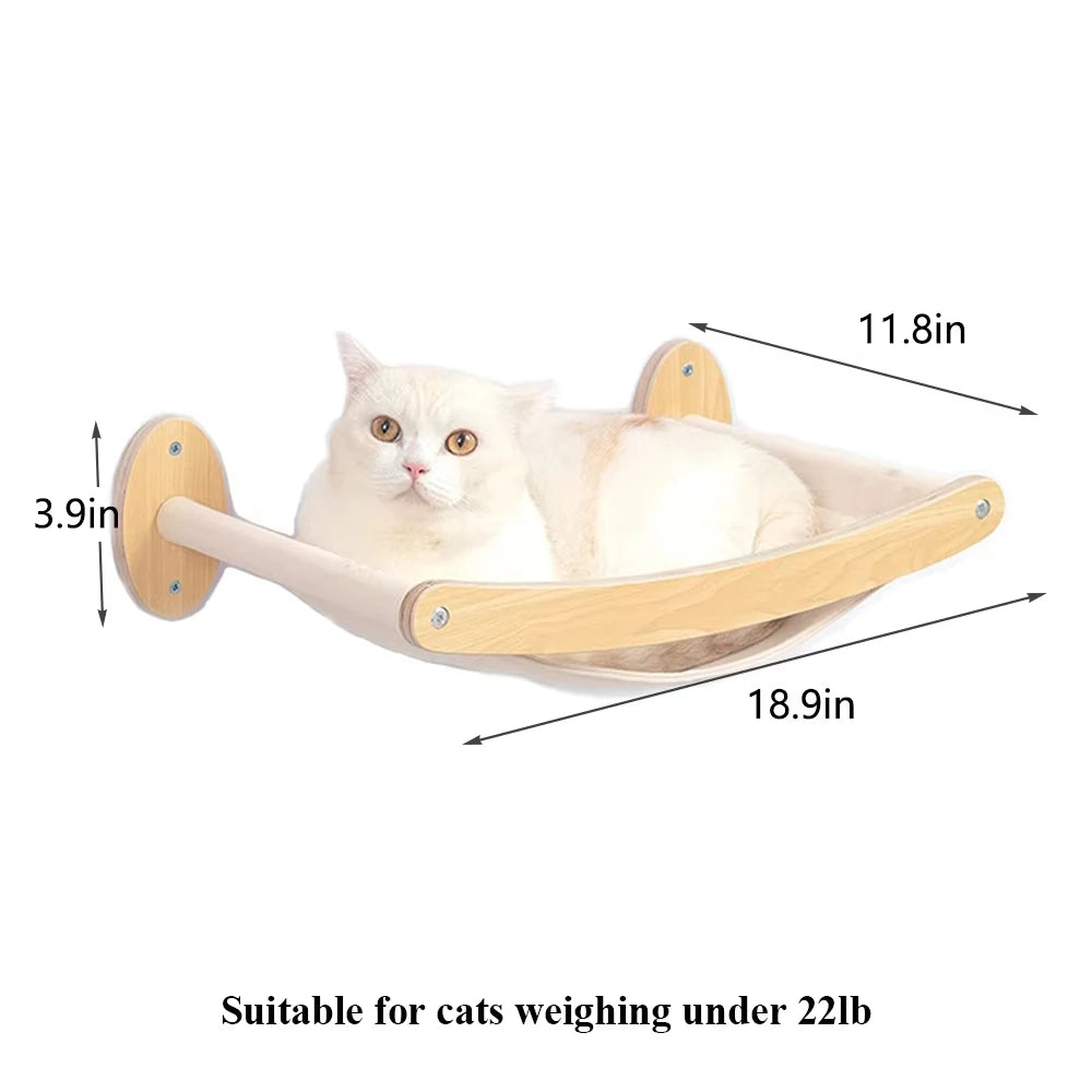 Cat Climbing Shelf Wall.