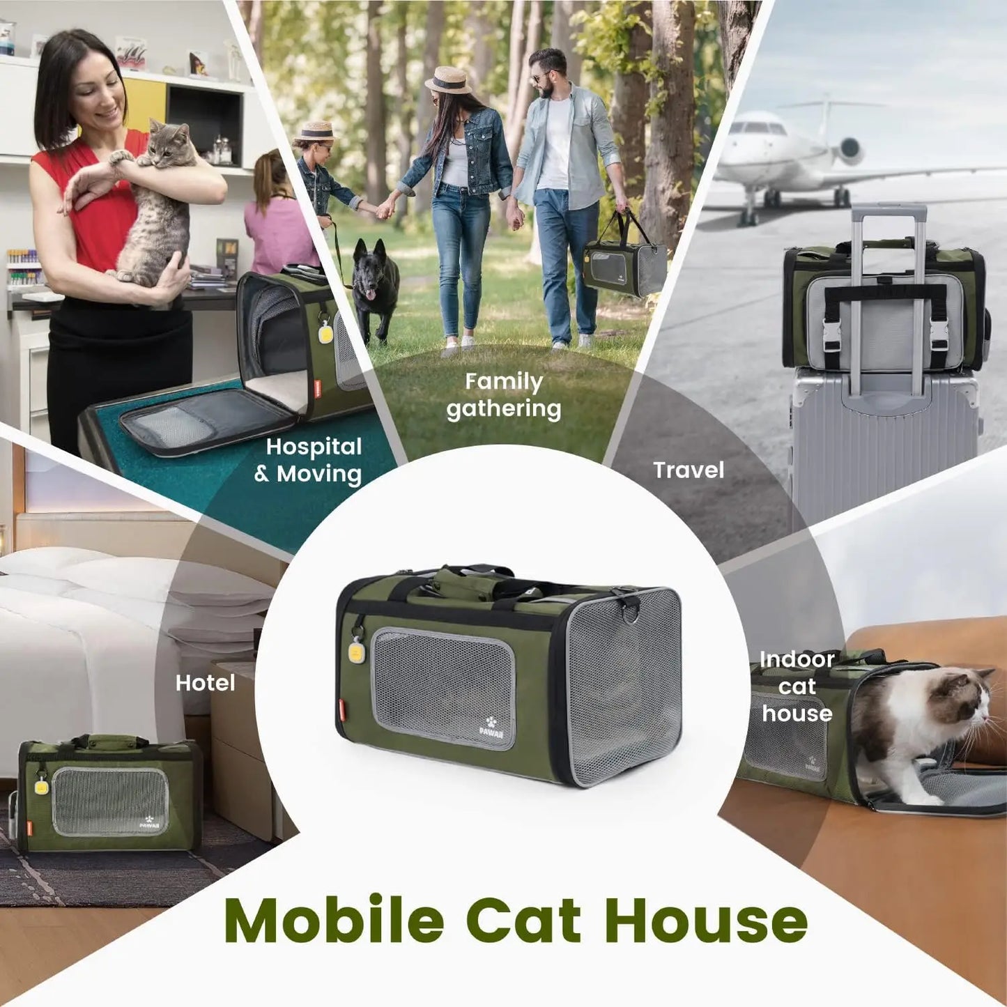 Pet Carrier Airline Approved.