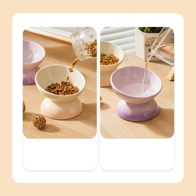 Tilted Cat Ceramic Bowl Gradient.
