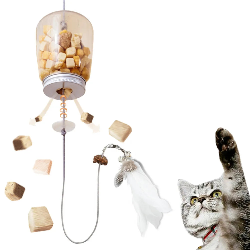 Cat Toy Interactive.