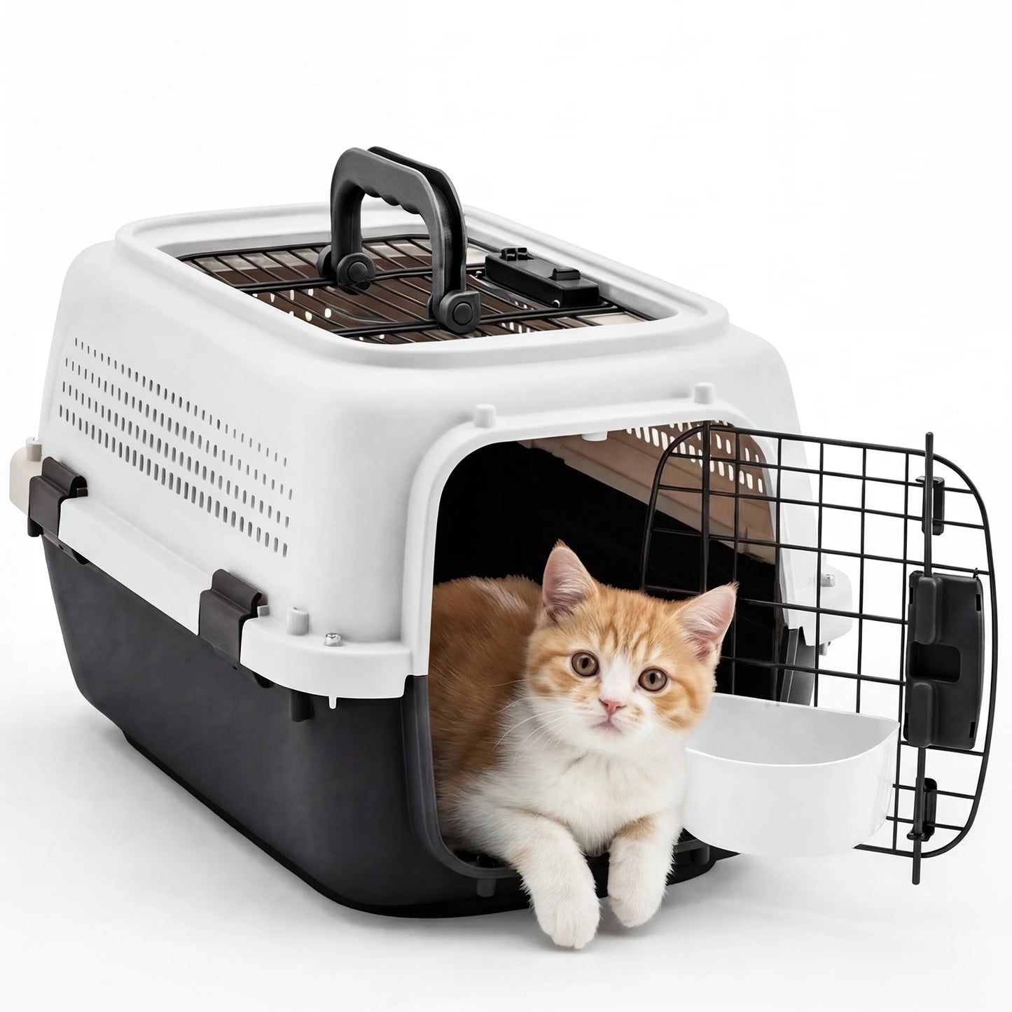 Pet Carrier for Small Dogs & Cats.
