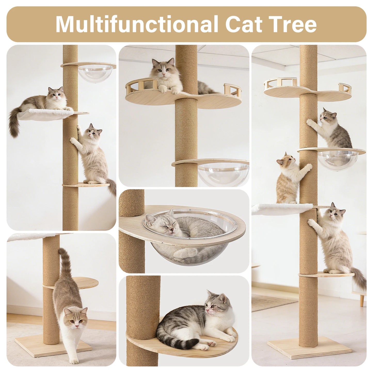 Floor To Ceiling Cat Tree.