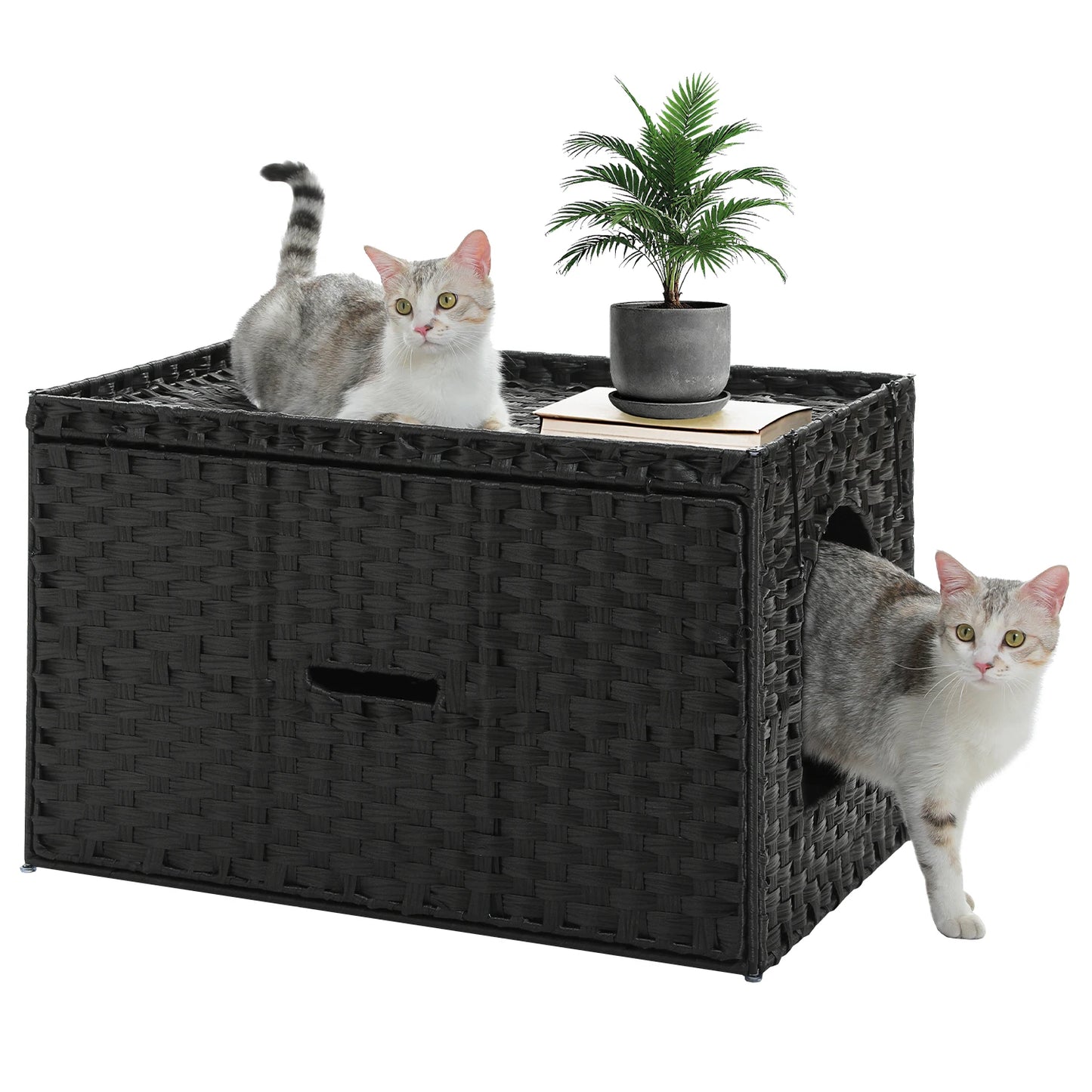 Rattan Cat Litter Box.