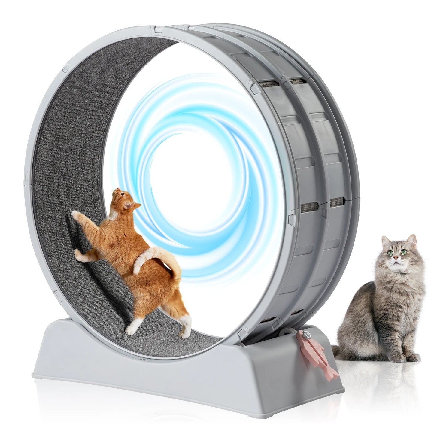 Interactive Cat Exercise Wheel.