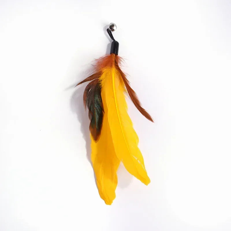 Cat Toy.