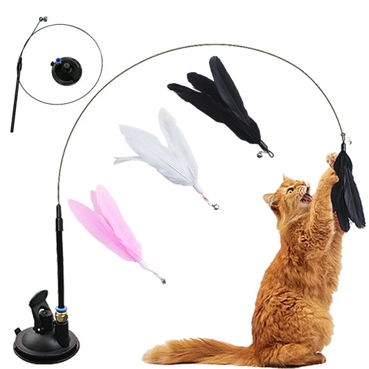 Interactive Cat Toy.