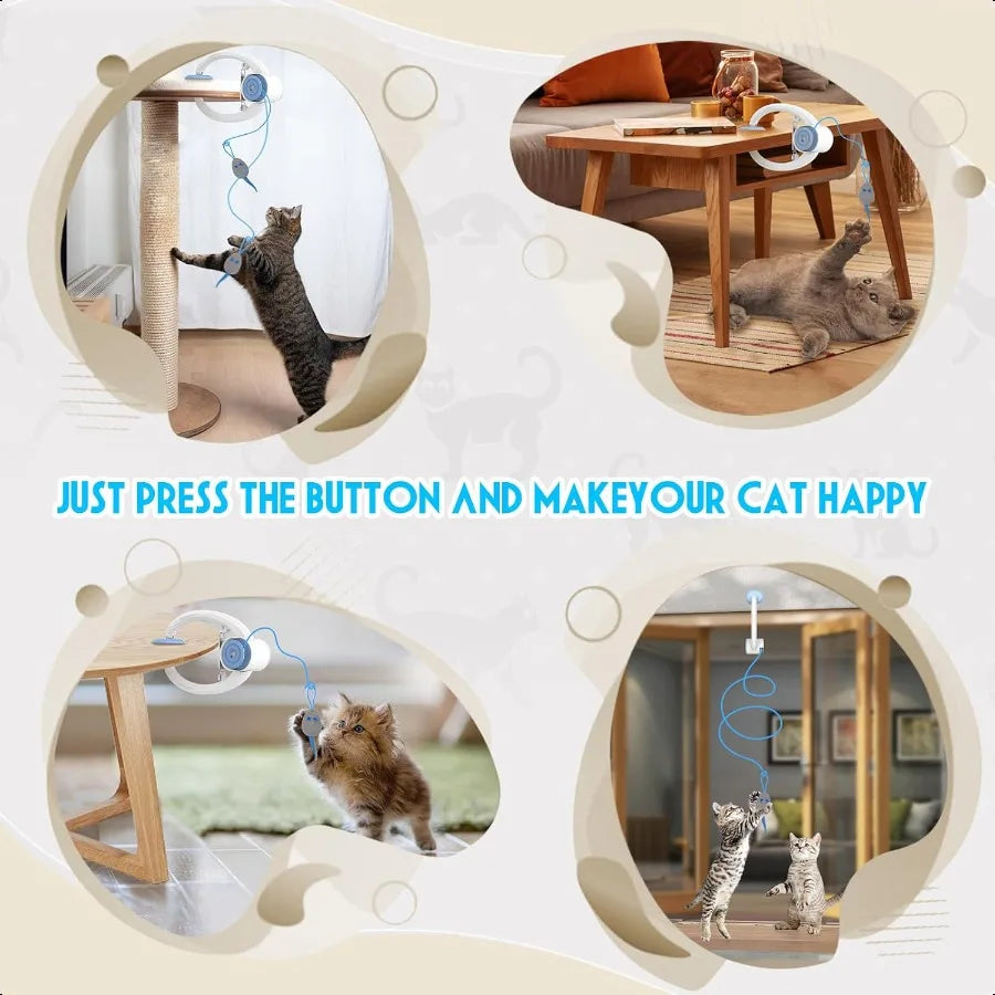 Interactive Automatic Door Cat Toy.