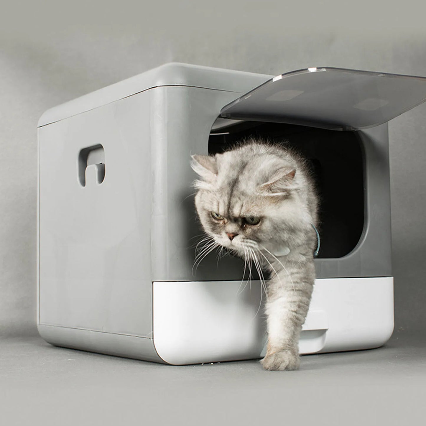 Cat Litter Box.