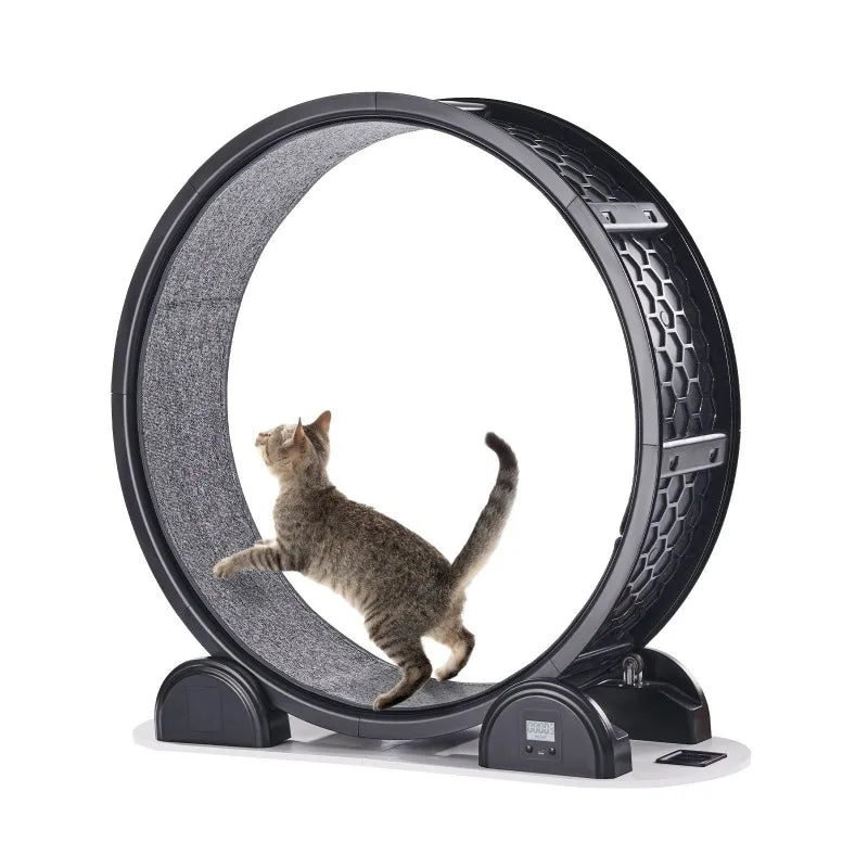 Cat Exercise Wheel.