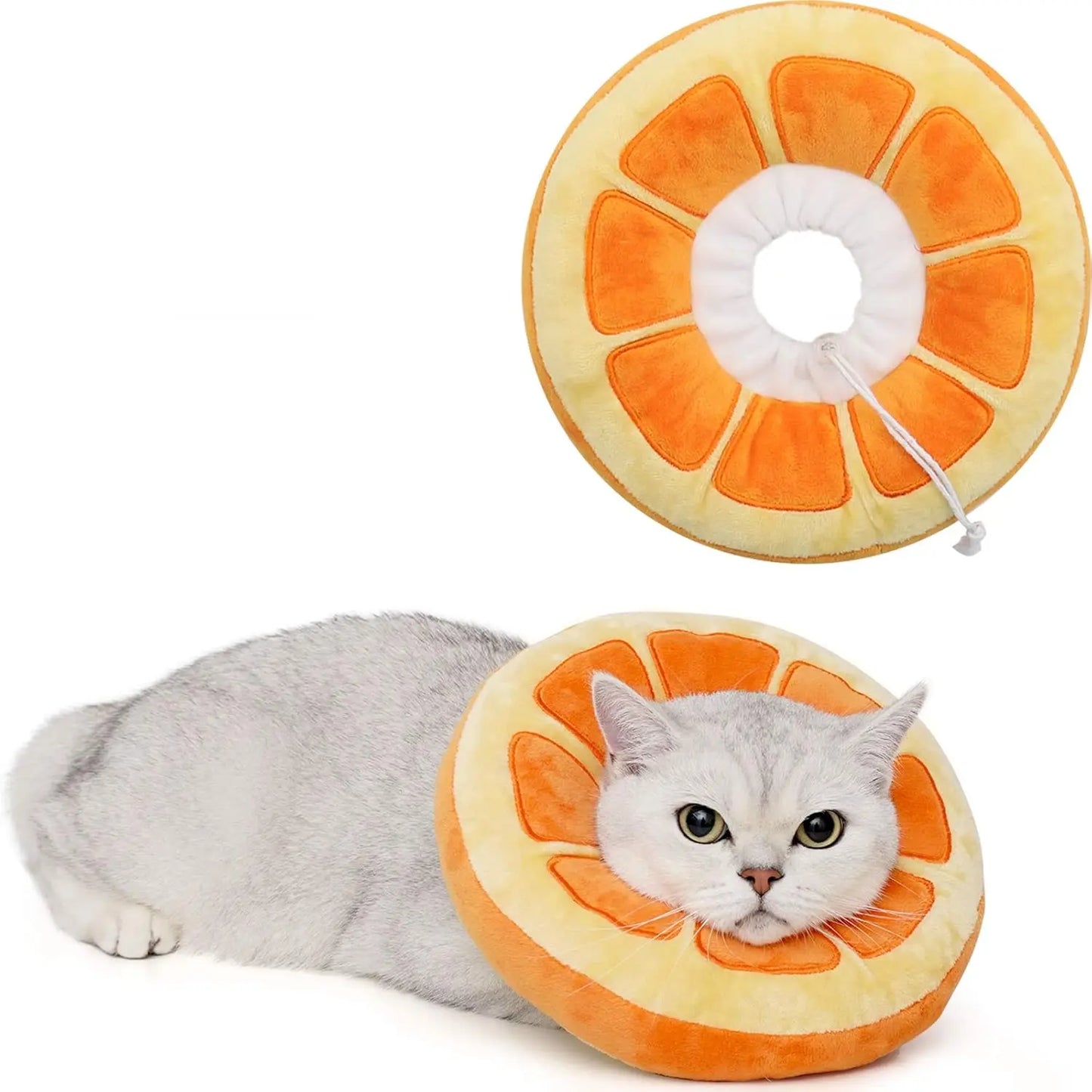 Cat Cone Collar.