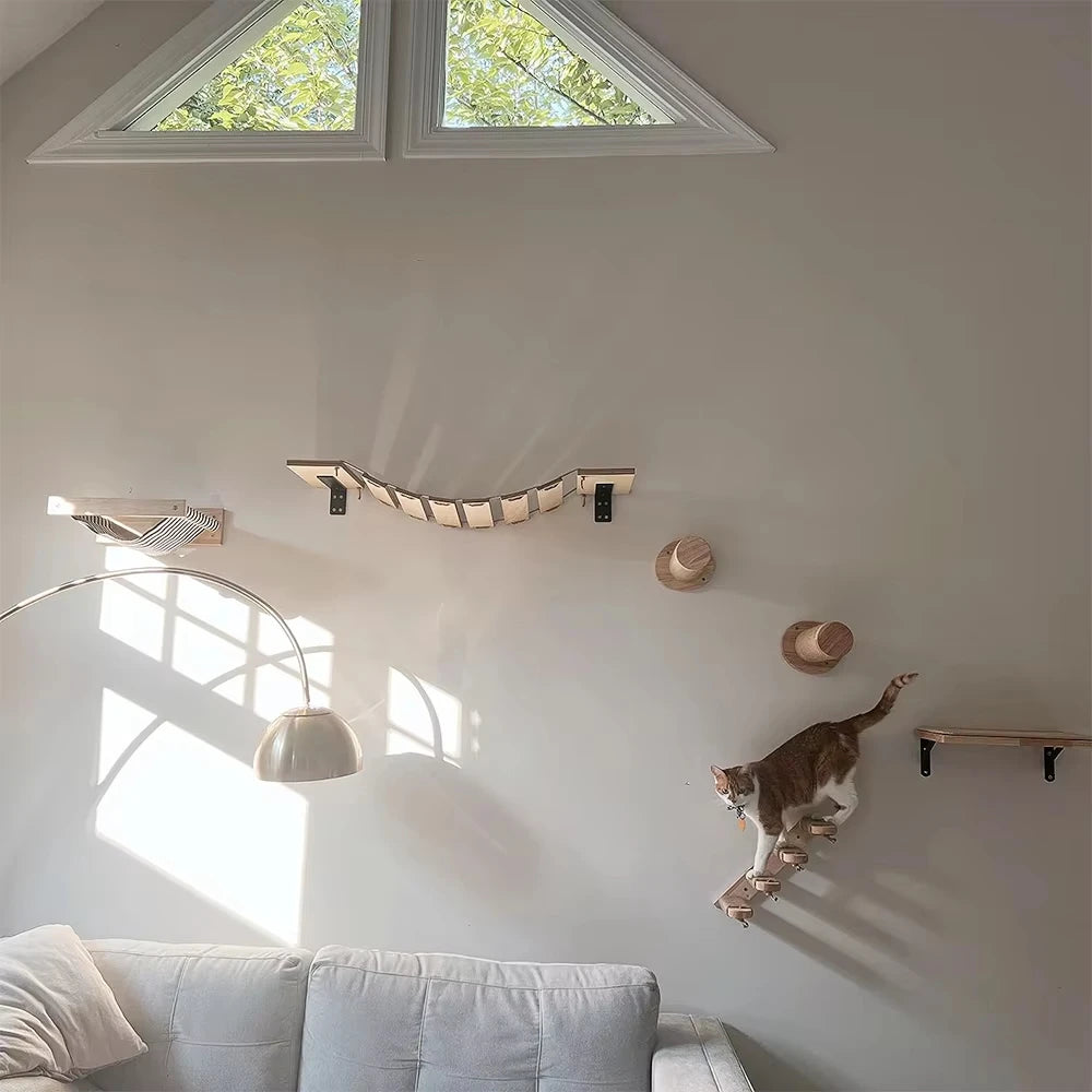 Cat Climbing Shelf Wall.