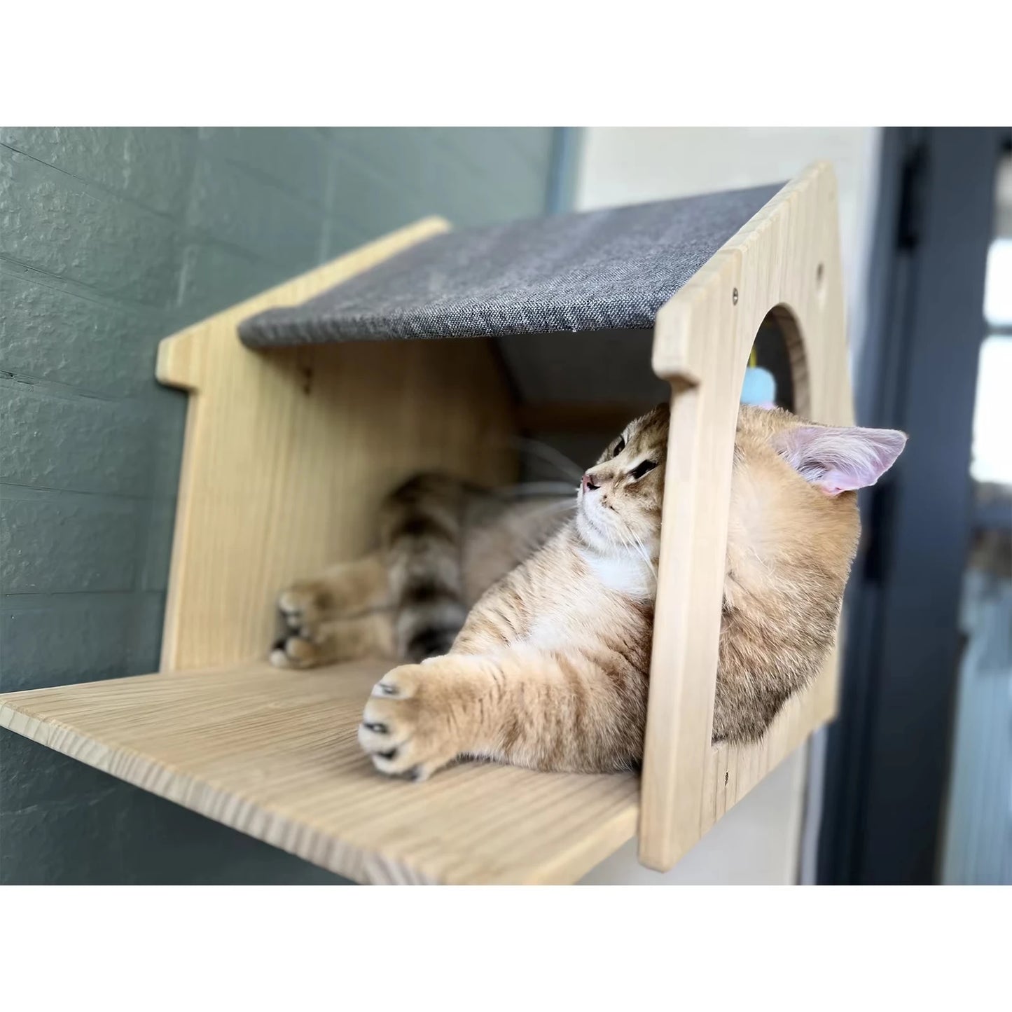 Wall Mounted Cat Condo Villa.