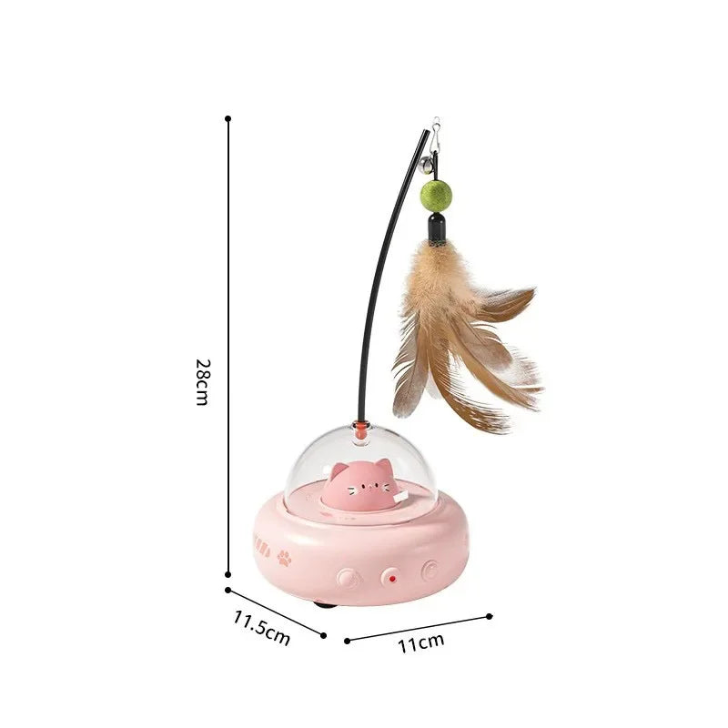 Cat Teaser Toy.