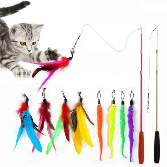 Cat Toy.