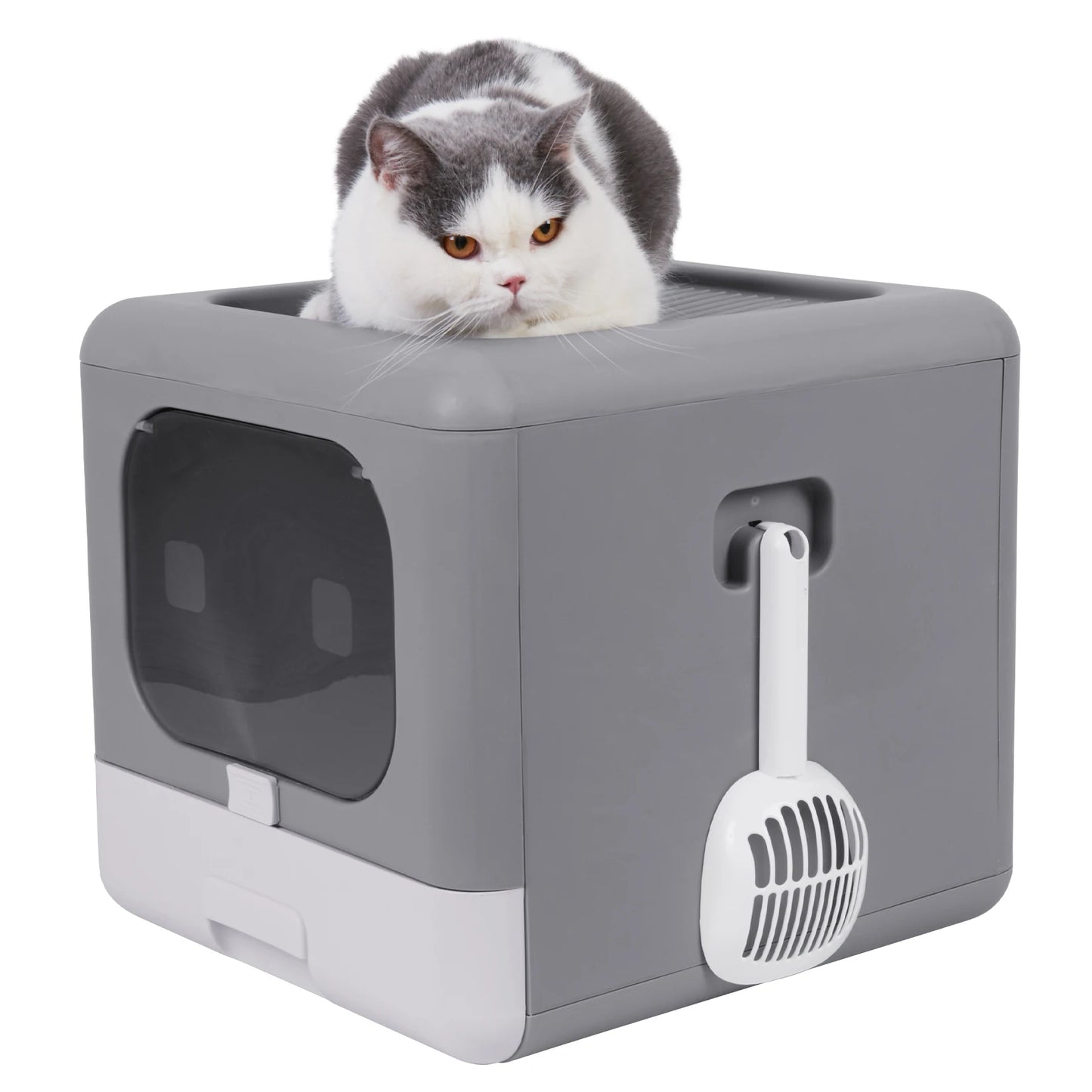 Bingopaw Cat Litter Box.
