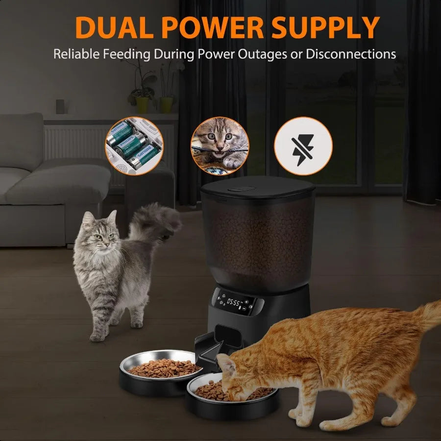 Automatic Cat Feeders for Two.