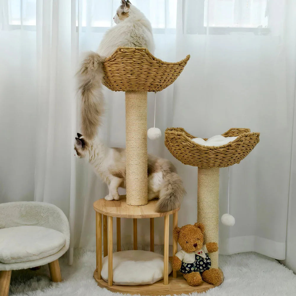 Cat Tree.