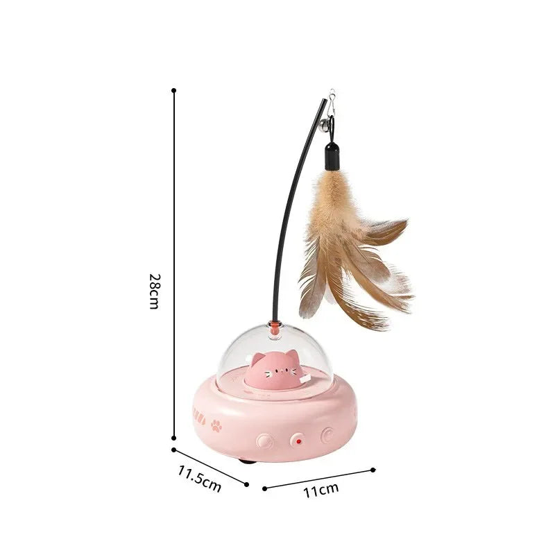 Cat Teaser Toy.