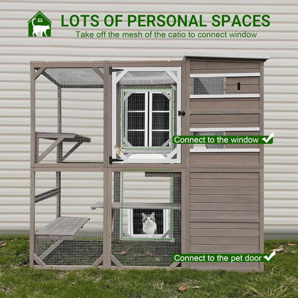 Outdoor Cat Cage.