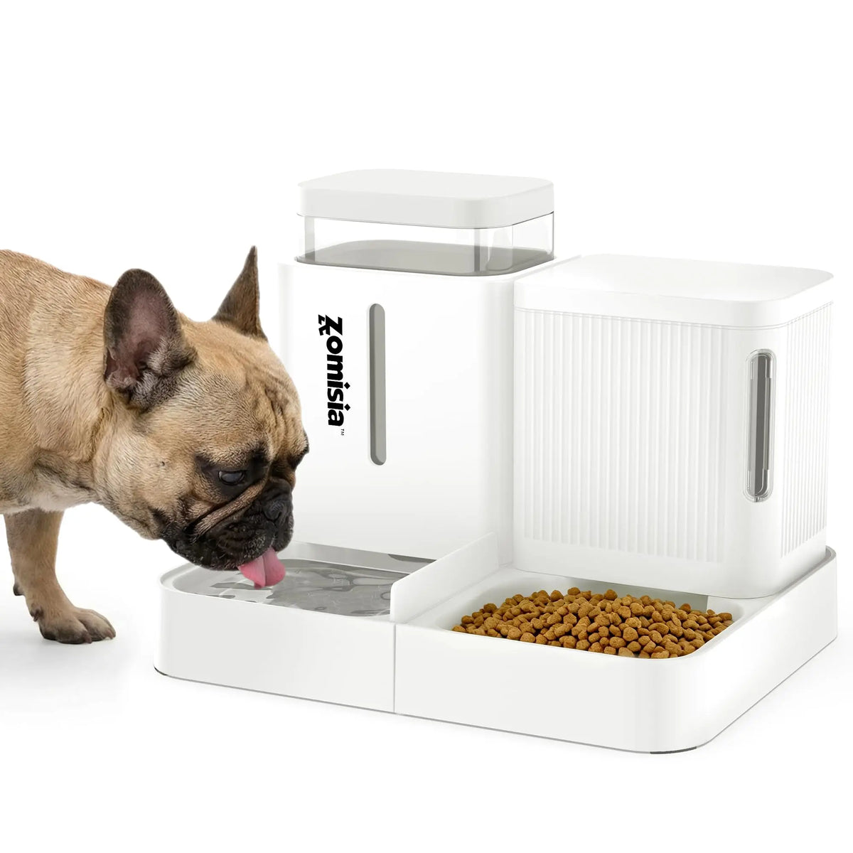 Automatic Cat Feeder.