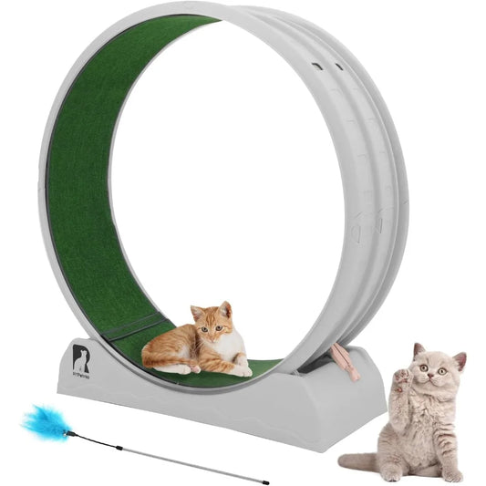 Cat Exercise Wheel.