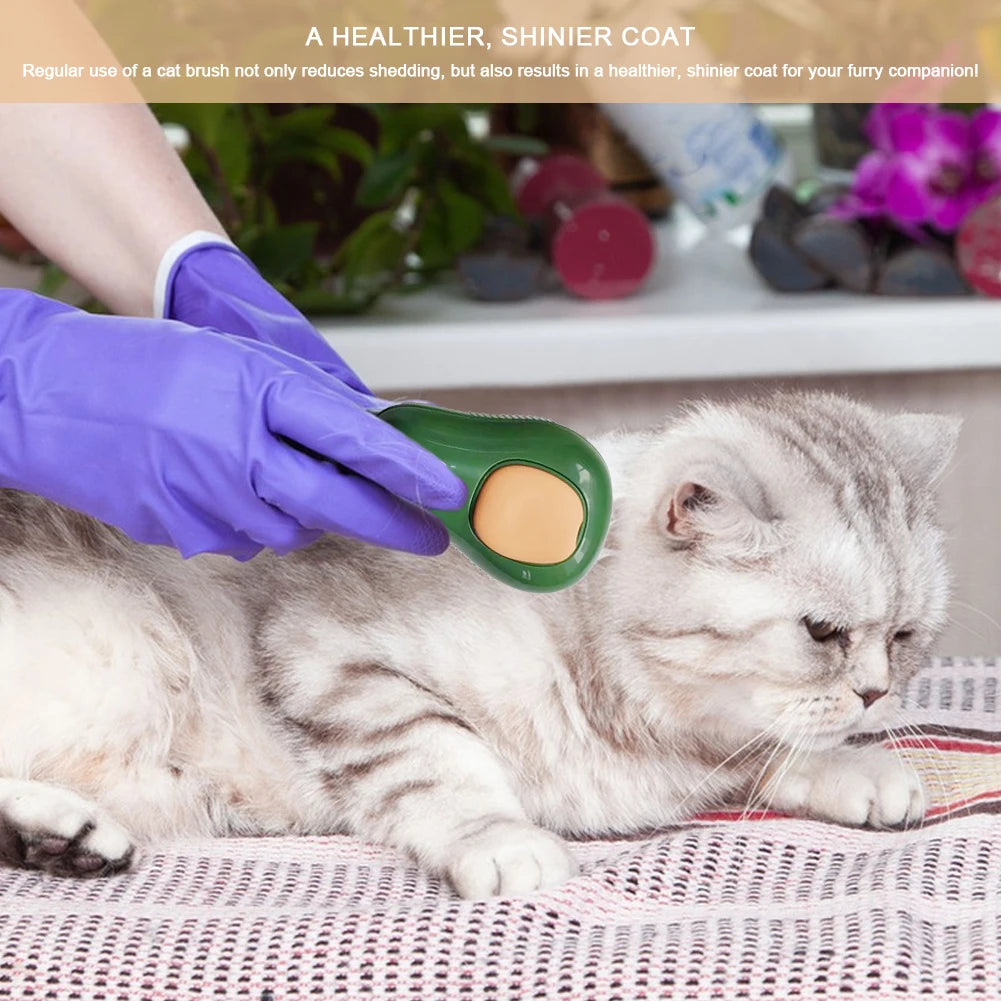 Electric Steamer Brush Grooming.