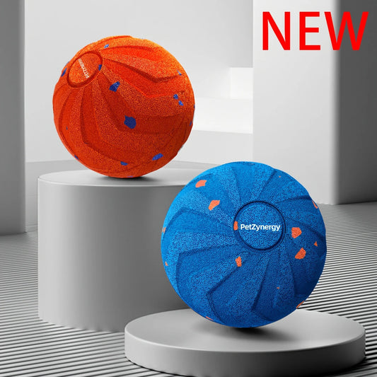 Large Interactive Dog Ball.