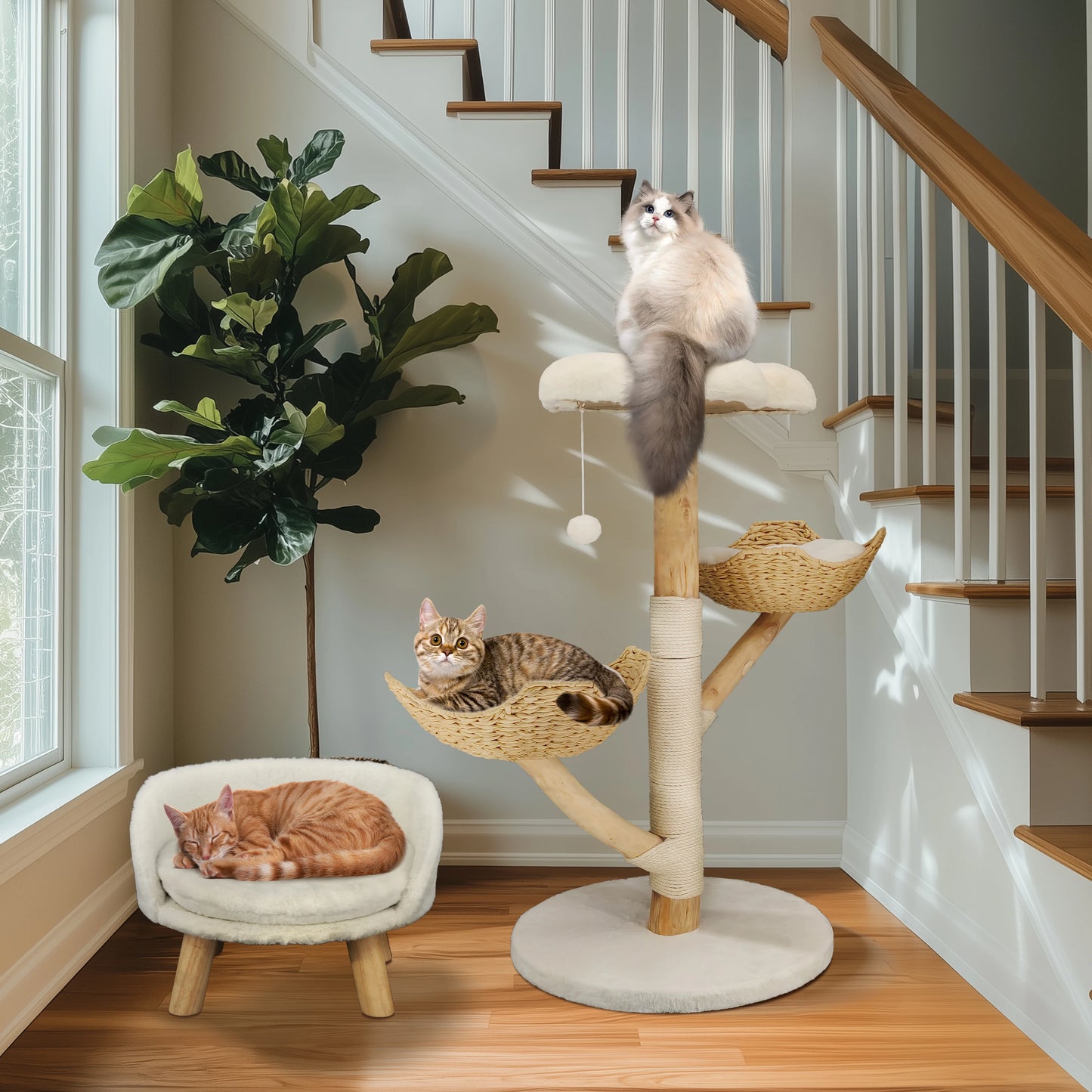 Bingopaw Cat Tree.