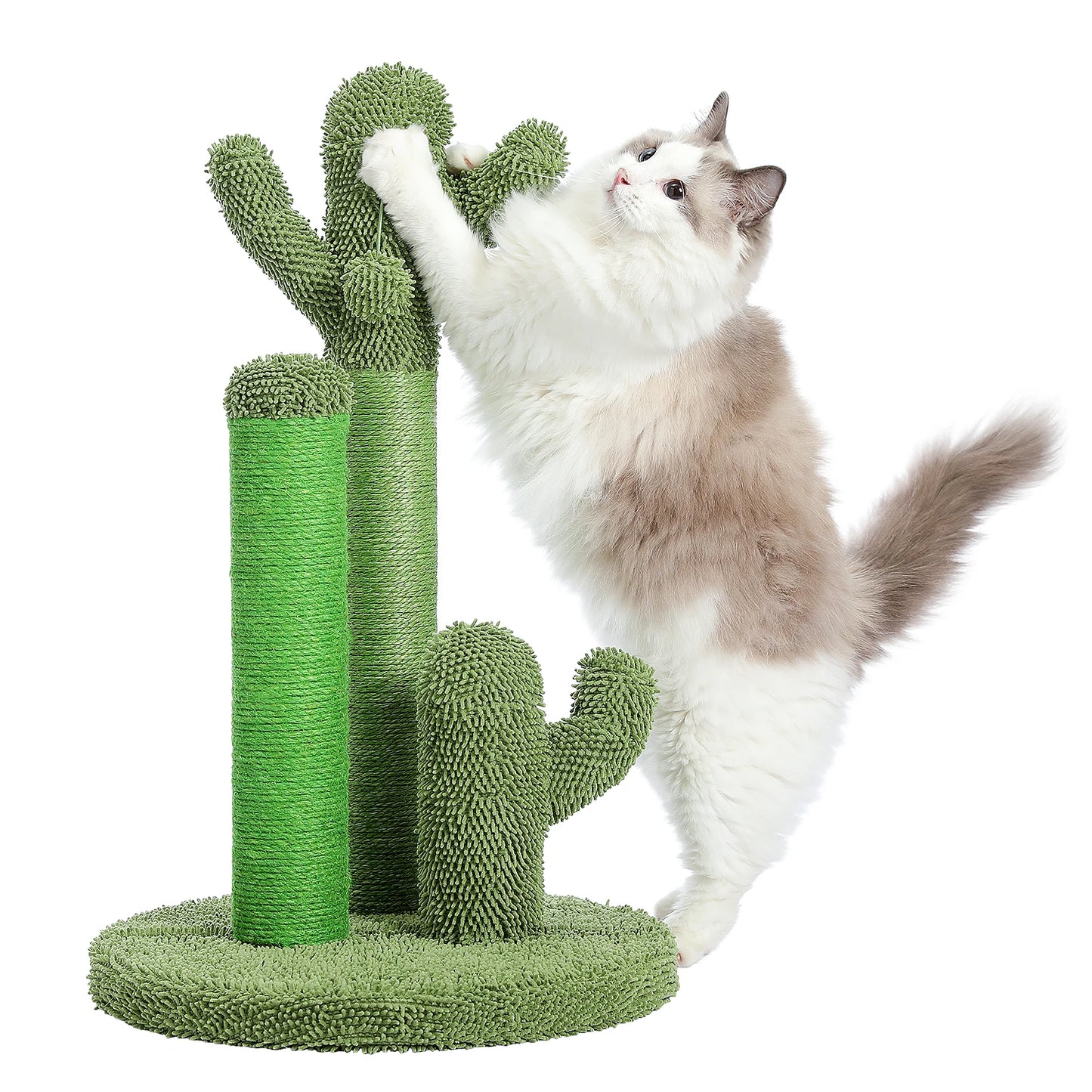 Cactus Cat Scratcher.
