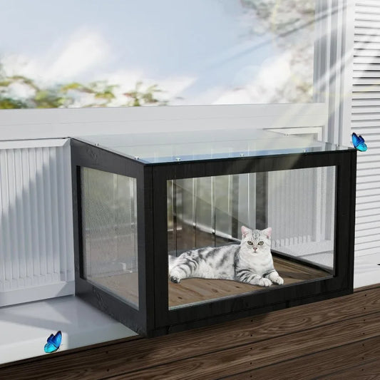 Cat Window Box.