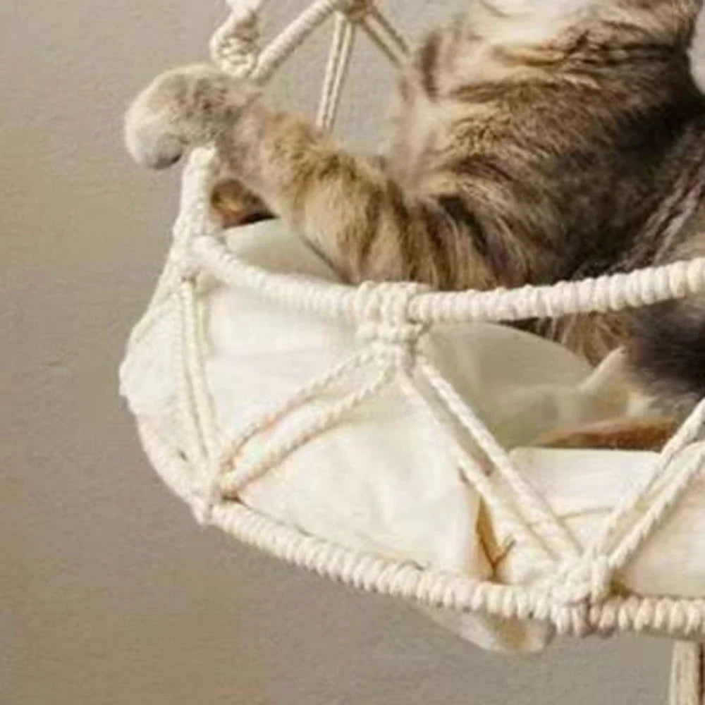 Cat & Kitten Hammock.