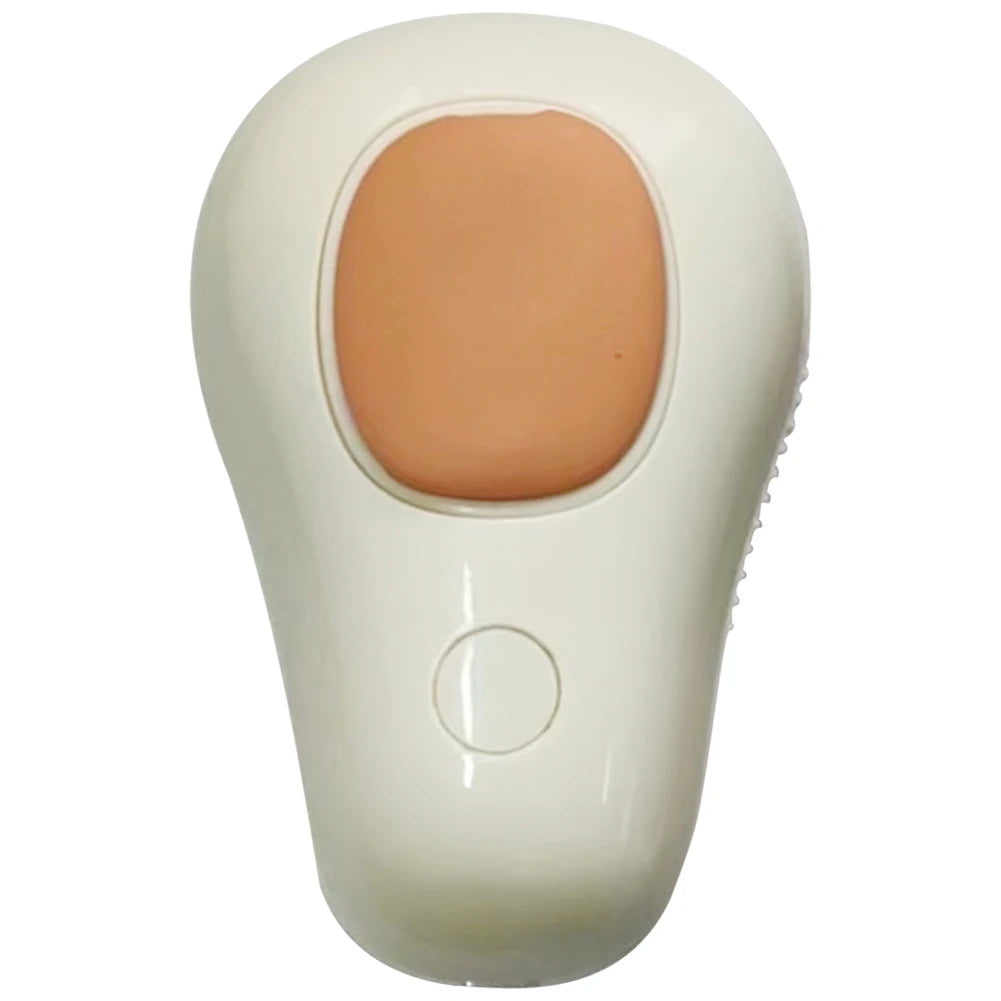 Electric Steamer Brush Grooming.
