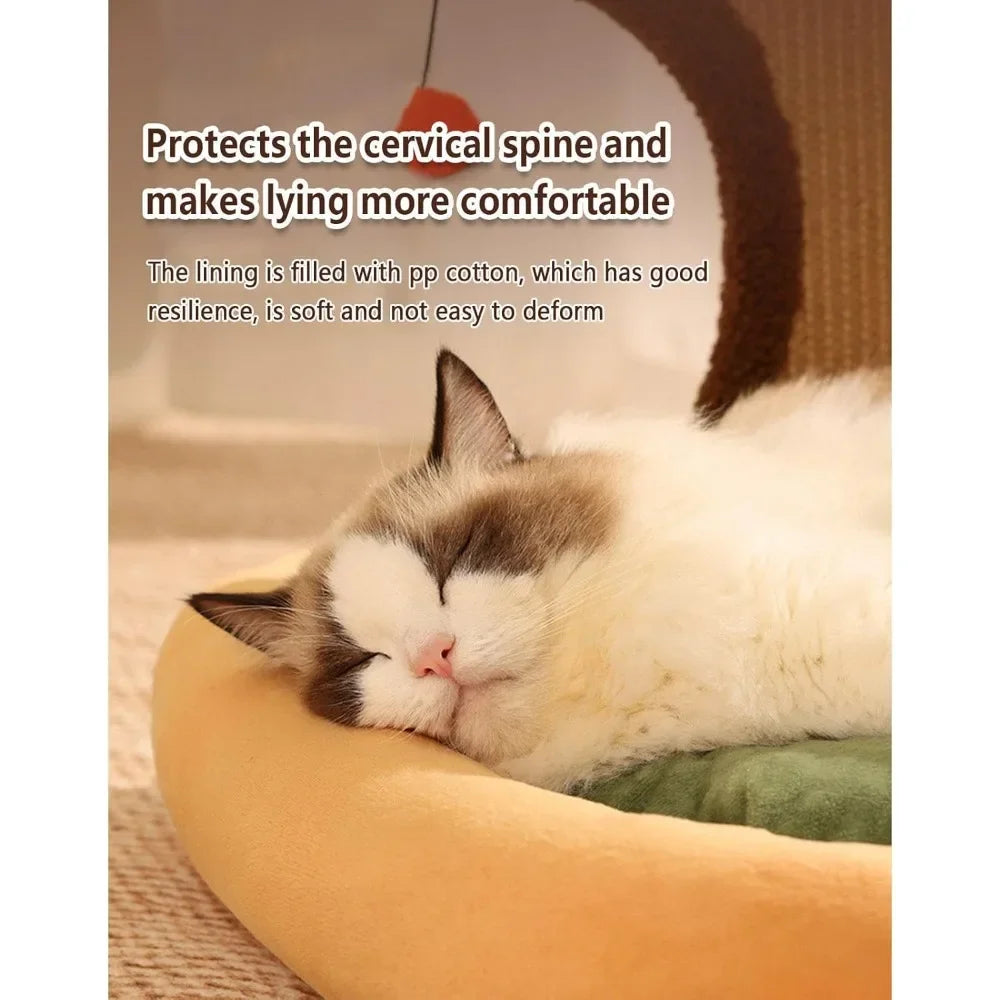 Cat Scratcher Bed.