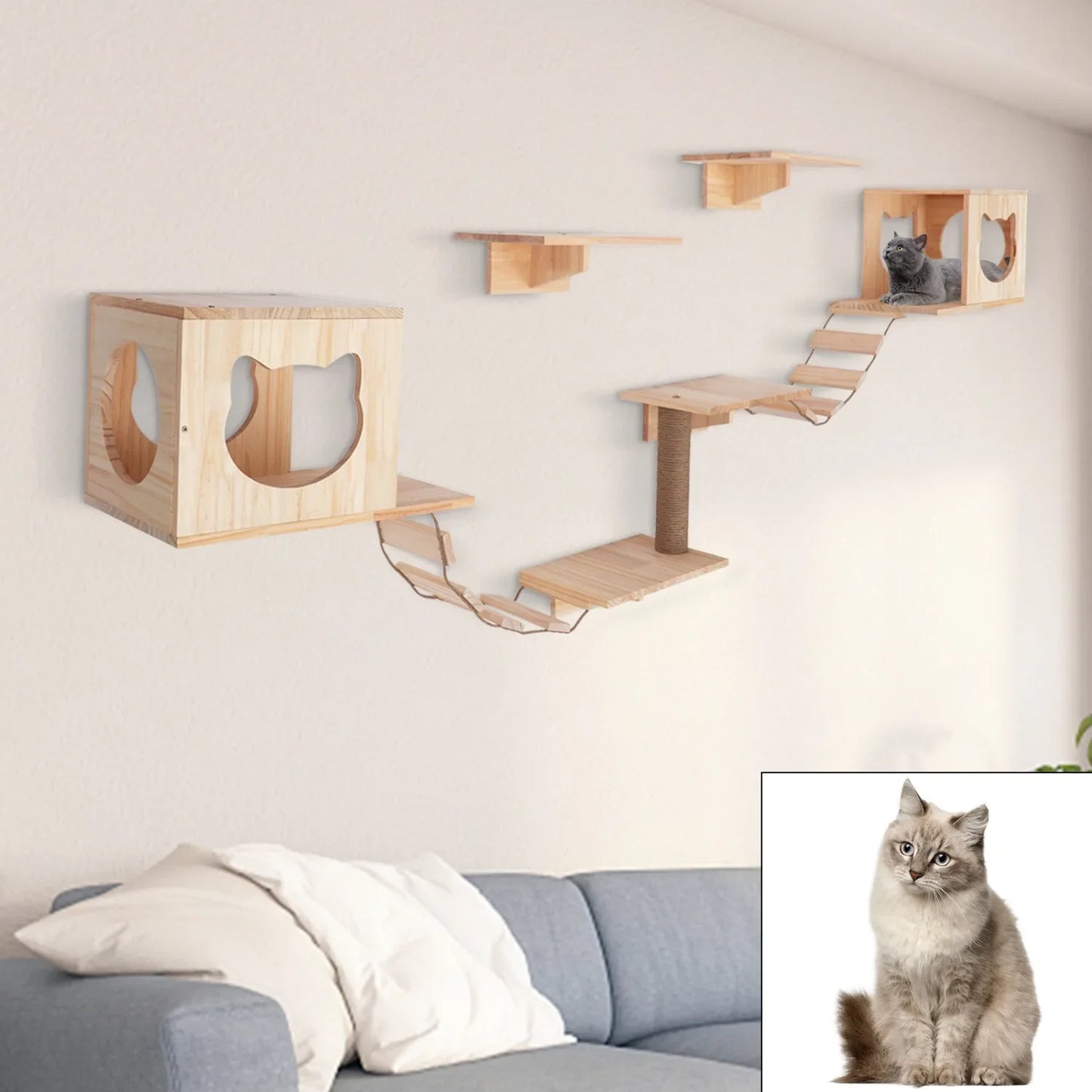 Wall-Mounted Cat Tree.