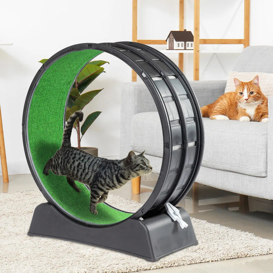 Cat Exercise Wheel.